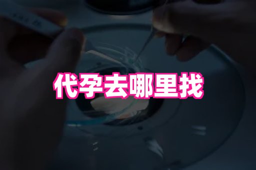 深圳助孕网站 1