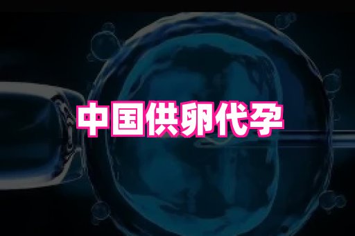 深圳助孕网站 2