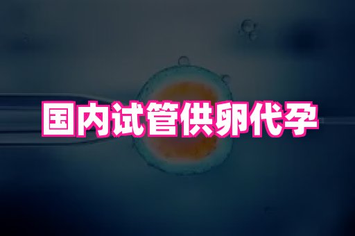 深圳助孕网站 4